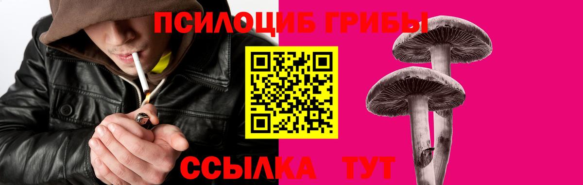 Галлюциногенные грибы Psilocybine cubensis Дедовск